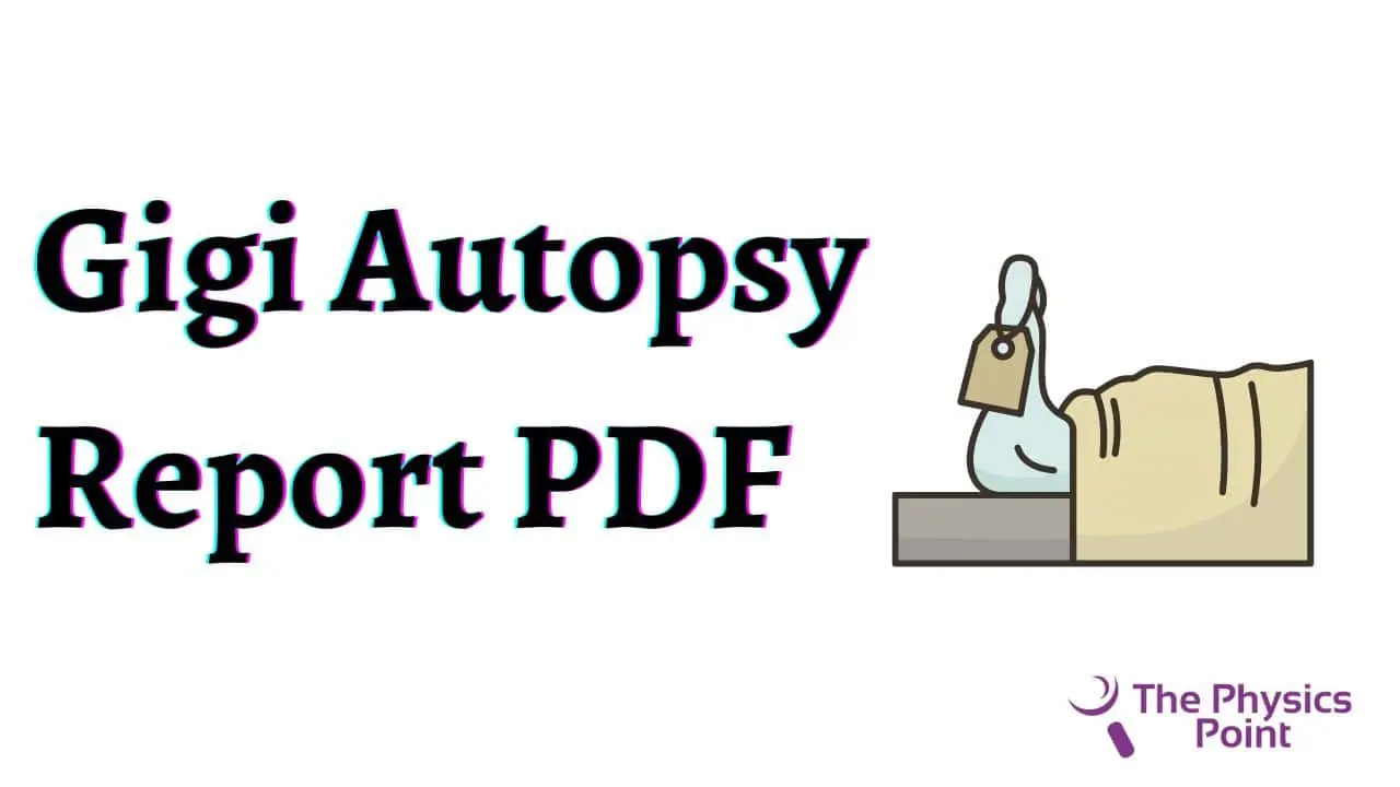 Gigi Autopsy Report PDF