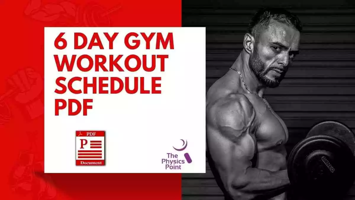 6 Day Gym Workout Schedule PDF