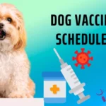 Dog Vaccination Schedule Chart PDF