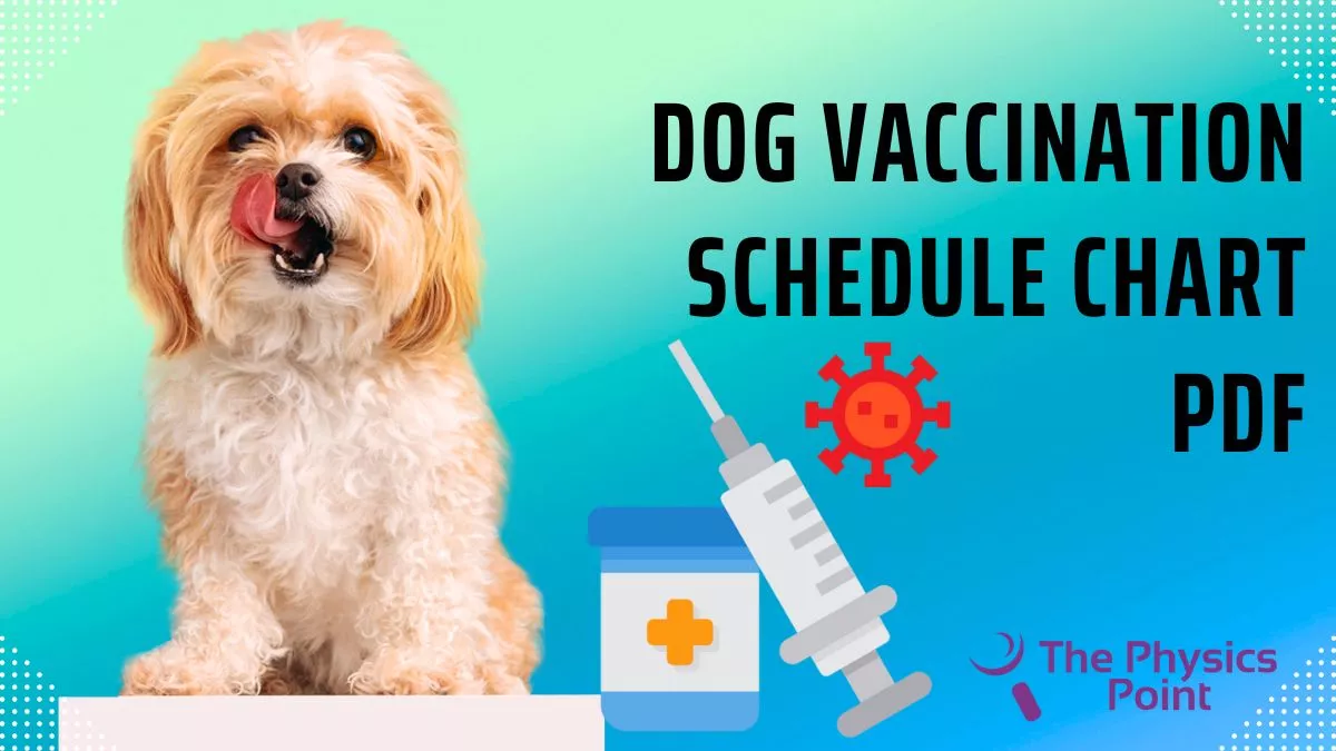 Dog Vaccination Schedule Chart PDF