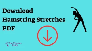 Download Hamstring Stretches PDF