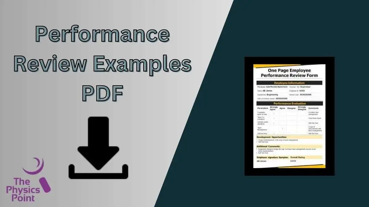 Performance Review Examples PDF