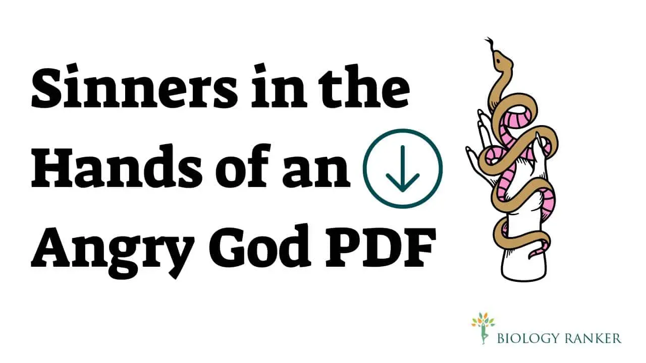 Sinners in the Hands of an Angry God PDF