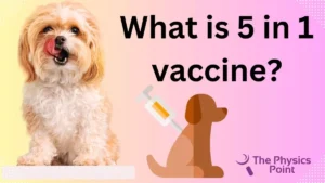 dog vaccination schedule chart india pdf,