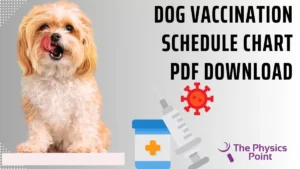 free printable dog vaccination chart